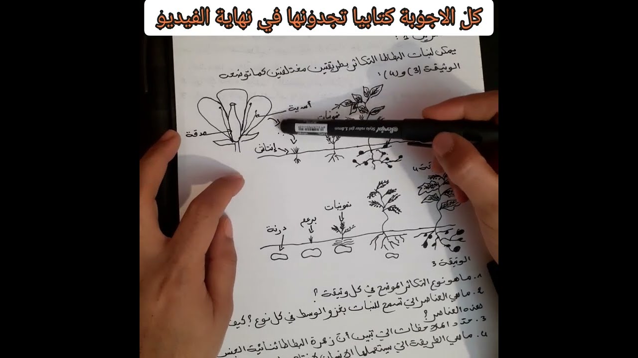 تمارين تطبيقية في العلوم الطبيعية للسنة الثانية متوسط@المحيط الأزرق
