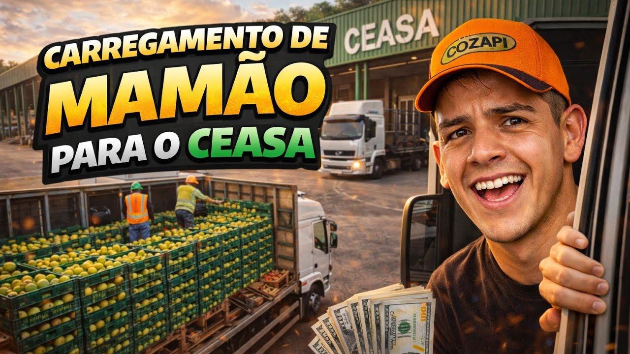 CARREGUEI MAMÃO PARA O CEASA DE CURITIBA-PR 