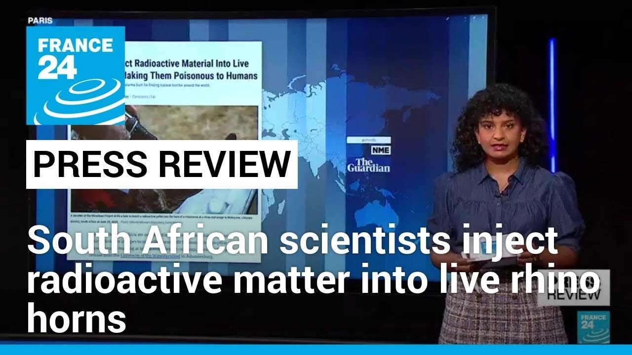 South African scientists inject radioactive matter into live rhino horns to fight poaching