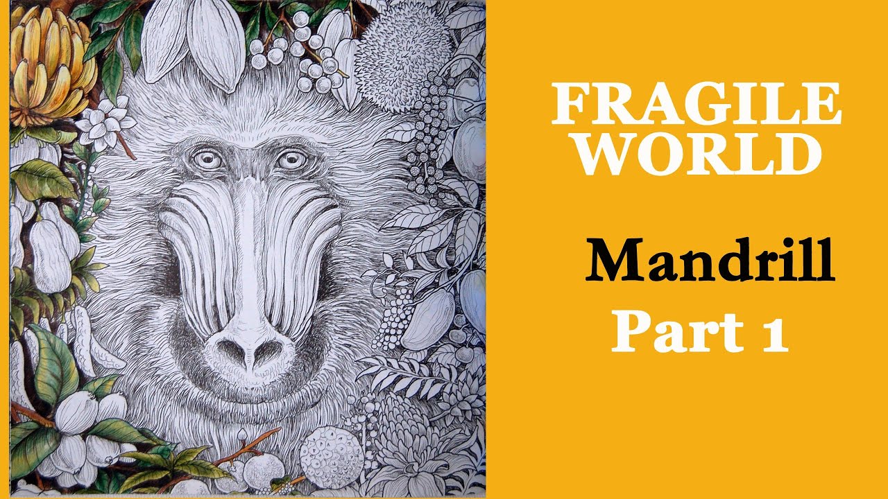 Mandrill. Part 1 #Coloring with ARRTX pencils in 'Fragile World' by K.Rosanes #adultcoloring