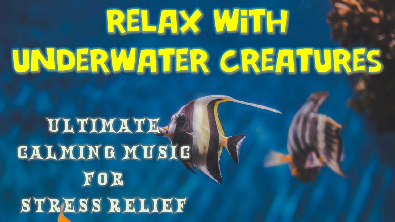 Relaxing Calming Music For Stress Relief