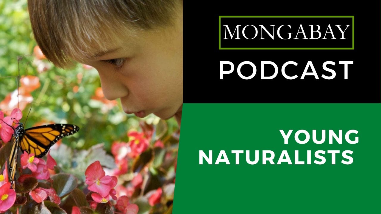 Nature deficit reorder: reconnecting kids and ourselves to the world