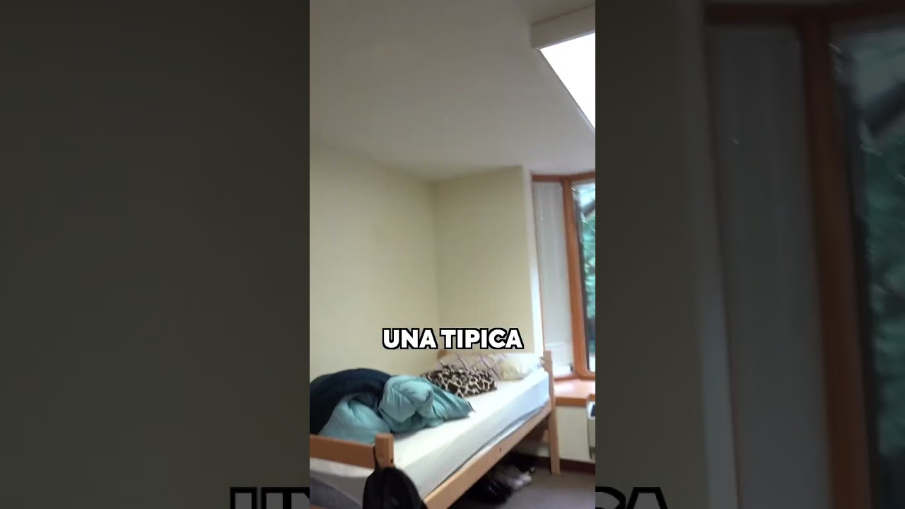 I Dormitori del College Americano 🇺🇸🏡