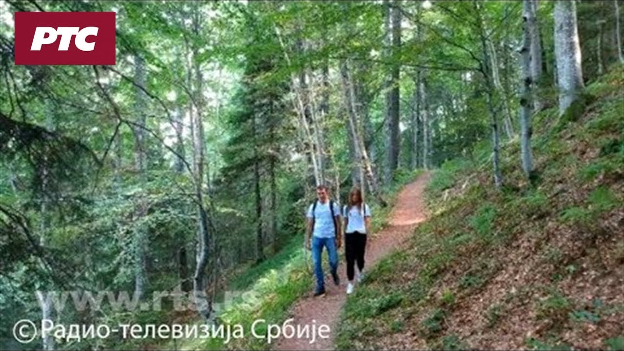 Bukove šume Srbije nominovane za Uneskovu listu dobara svetske prirodne baštine