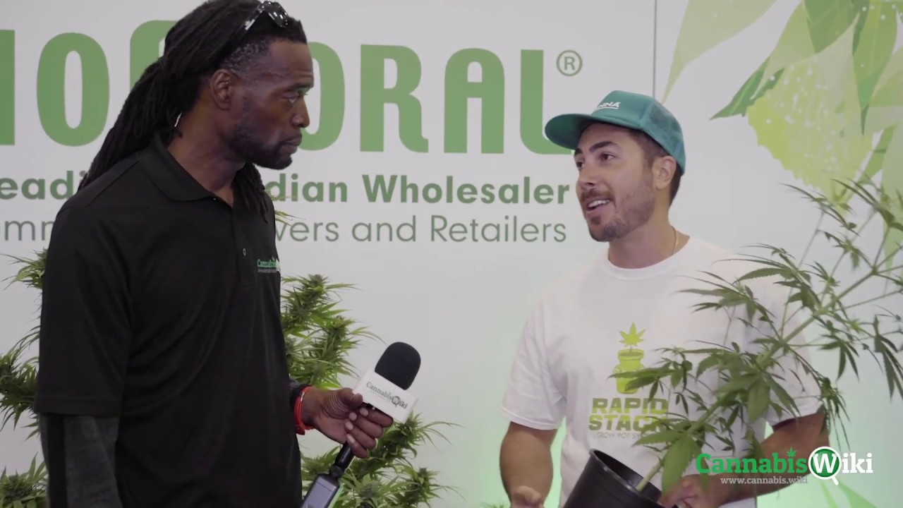 Rapid Stack Grow Pot Interview with Cannabis Wiki