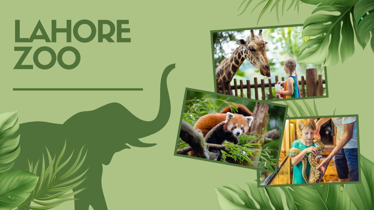Lahore Zoo | Pakistan | Animals
