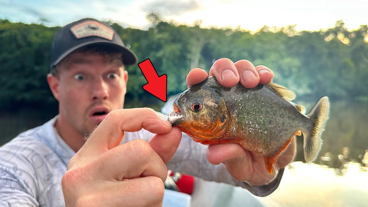 PIRANHA’S VANGEN EN ER MEE ZWEMMEN IS GEVAARLIJK?? 😅💀