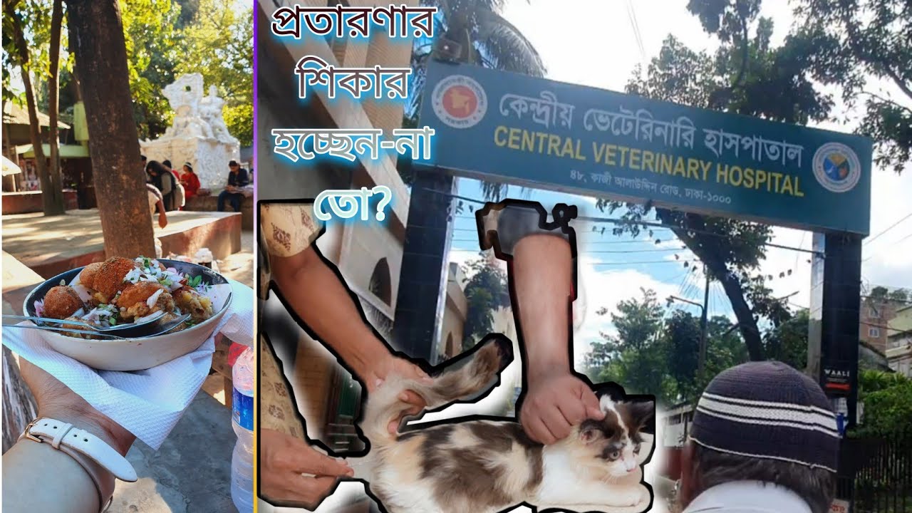 কেন্দ্রীয় ভেটেরিনারি হাস্পাতাল।Central Veterinary Hospital  প্রতারণার শিরার হচ্ছেন্না তো?😓🤷‍♀️🤷‍♂️