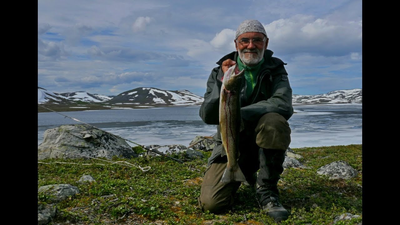Sennaland, Finnmark July 2017 II