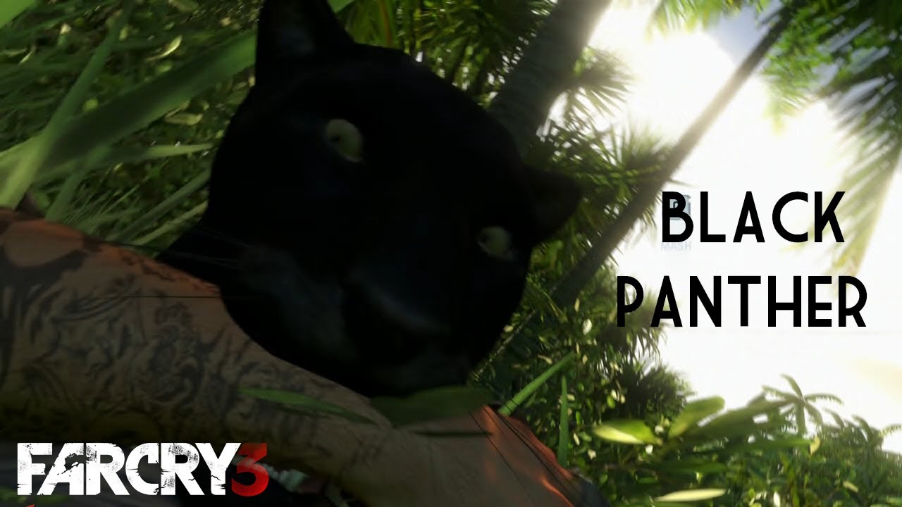 Far Cry 3 - Rare Black Panther Hunting