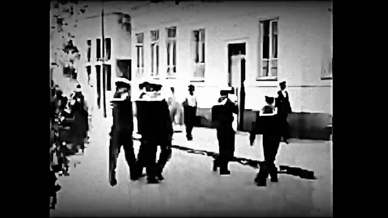 Vila Mimosa -  Abutres do novo mundo (Gabriel Goldman)