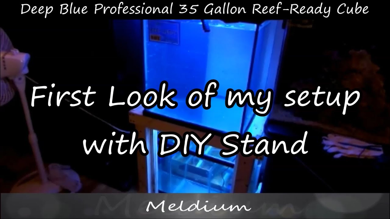 First look Deep Blue Professional 35 Gallon Reef-Ready Cube setup
