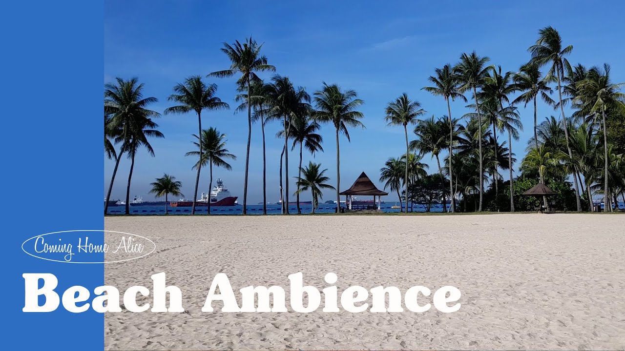 싱가폴 어느 해변을 거닐던 그해 겨울 Tingling sound of the beach on a summer morning | Singaporean Tanjong Beach