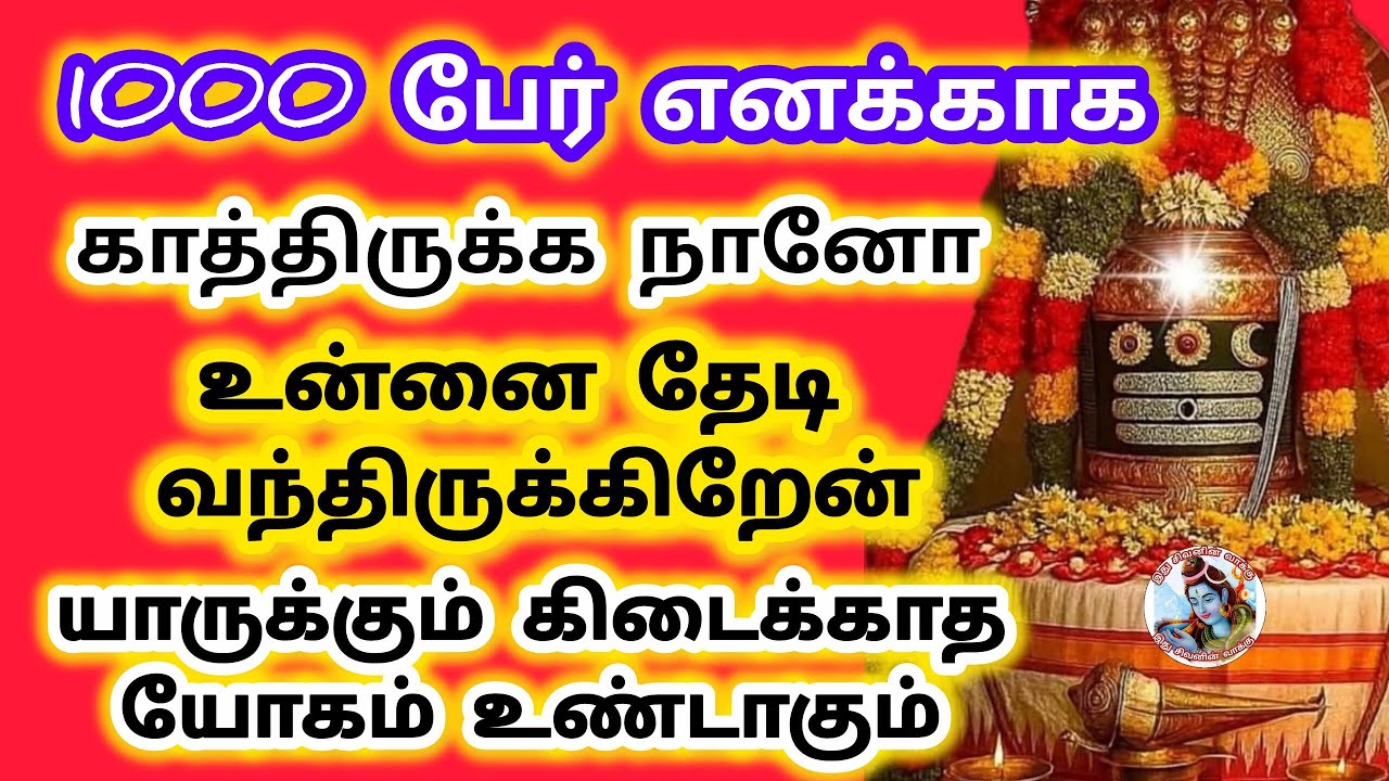 1000 பேர் எனக்காக காத்திருக்க ‌உன்ன தேடி நான்‌ஓடி வந்திருக்கிறேன் யாருக்கும் கிடைக்காத ஒரு வாய்ப்பு