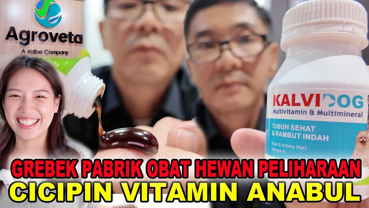 Grebek Pabrik Obat & Vitamin Anabul Terbesar Indonesia