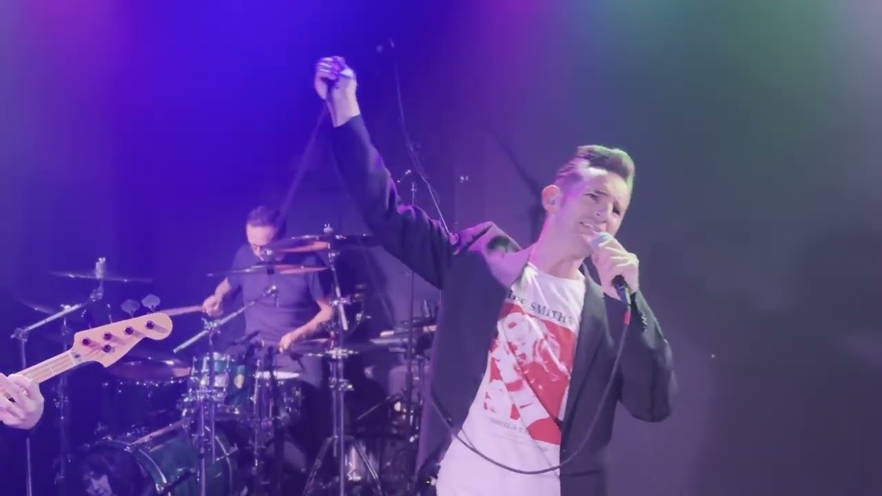 These Smiths - The UK's Best Tribute to The Smiths & Morrissey (Promo Reel)