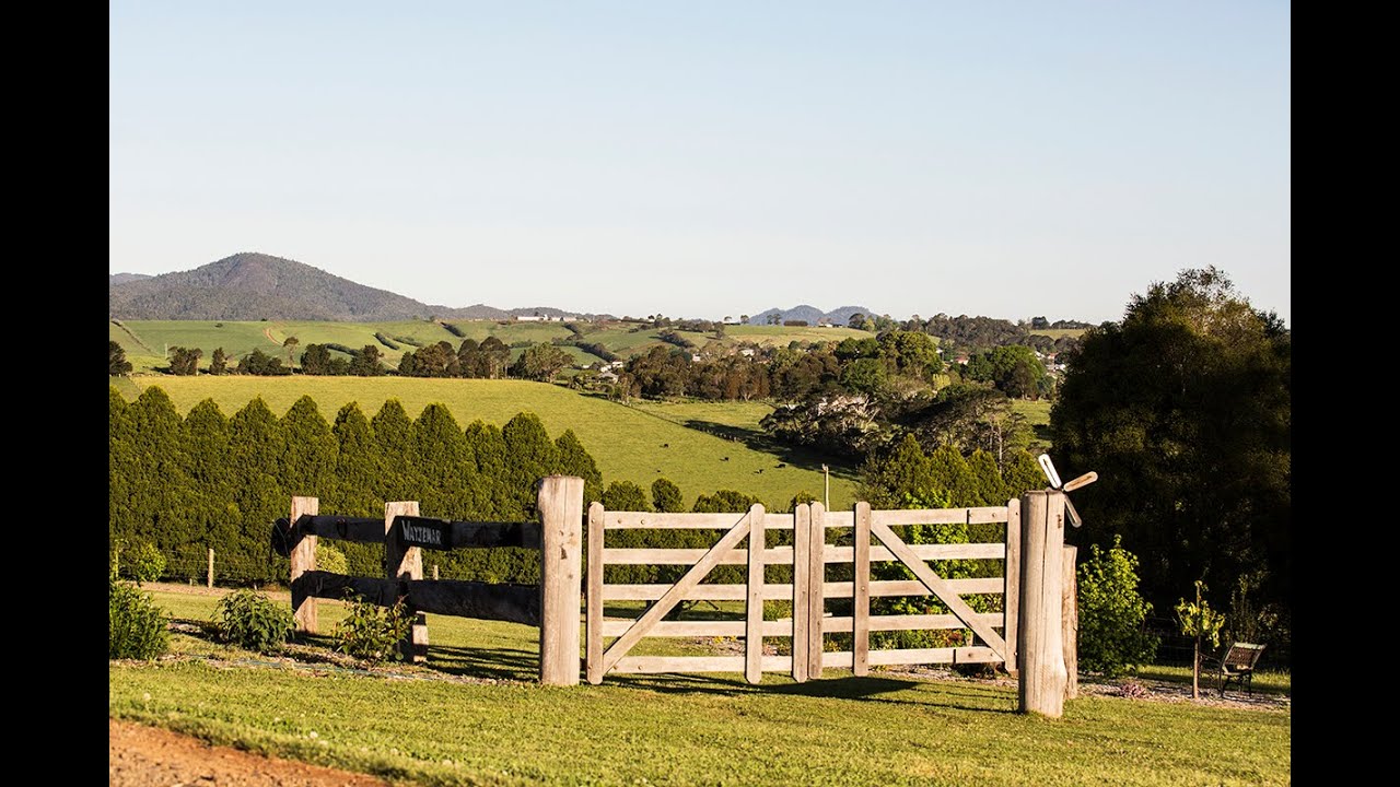 Tyringham Road, Dorrigo by openhomeonline