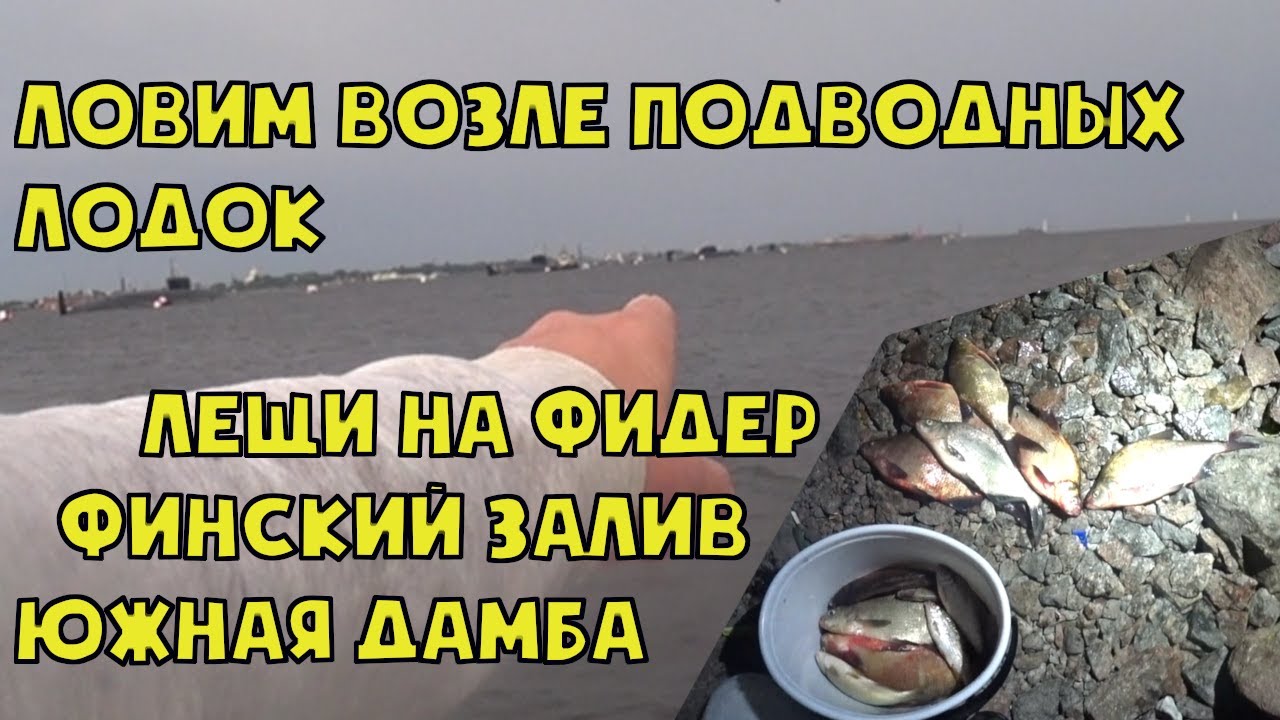 ЛОВИМ ВОЗЛЕ ПОДВОДНЫХ ЛОДОК. ЛЕЩИ НА ФИДЕР. ФИНСКИЙ ЗАЛИВ. ЮЖНАЯ ДАМБА