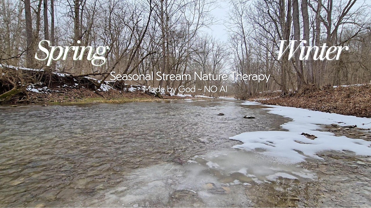 ❄️🌸Where Winter Meets Spring: 30 Mins of Cozy Stream Therapy [Relaxing Water Sounds] ~ NO AI ~ 4K
