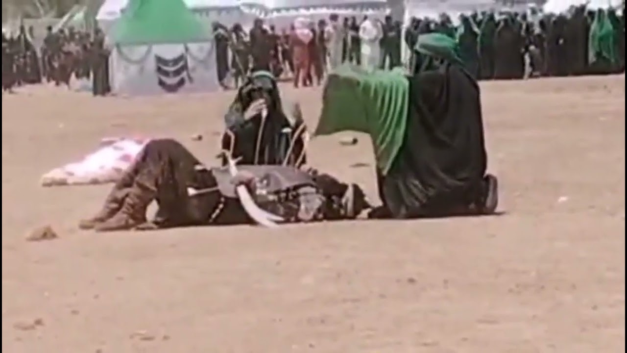 مشهد الإمام الحسين ع  موكب جمهور الشوملي الكبير