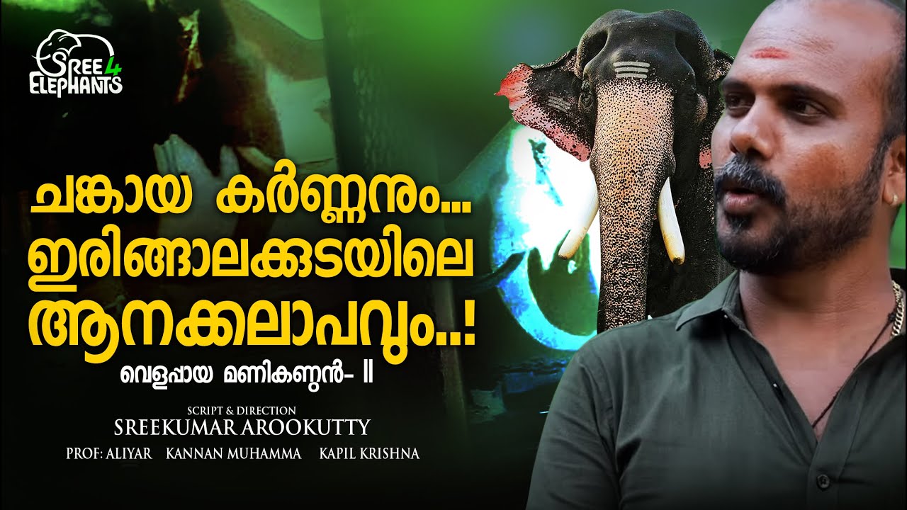 ഇരിങ്ങാലക്കുട ക്ഷേത്രത്തിൽ ആനയിടഞ്ഞപ്പോൾ മണികണ്ഠനെയോർത്ത് ചങ്ക് പൊട്ടിക്കരഞ്ഞ ഉണ്ണിയേട്ടൻ ...?