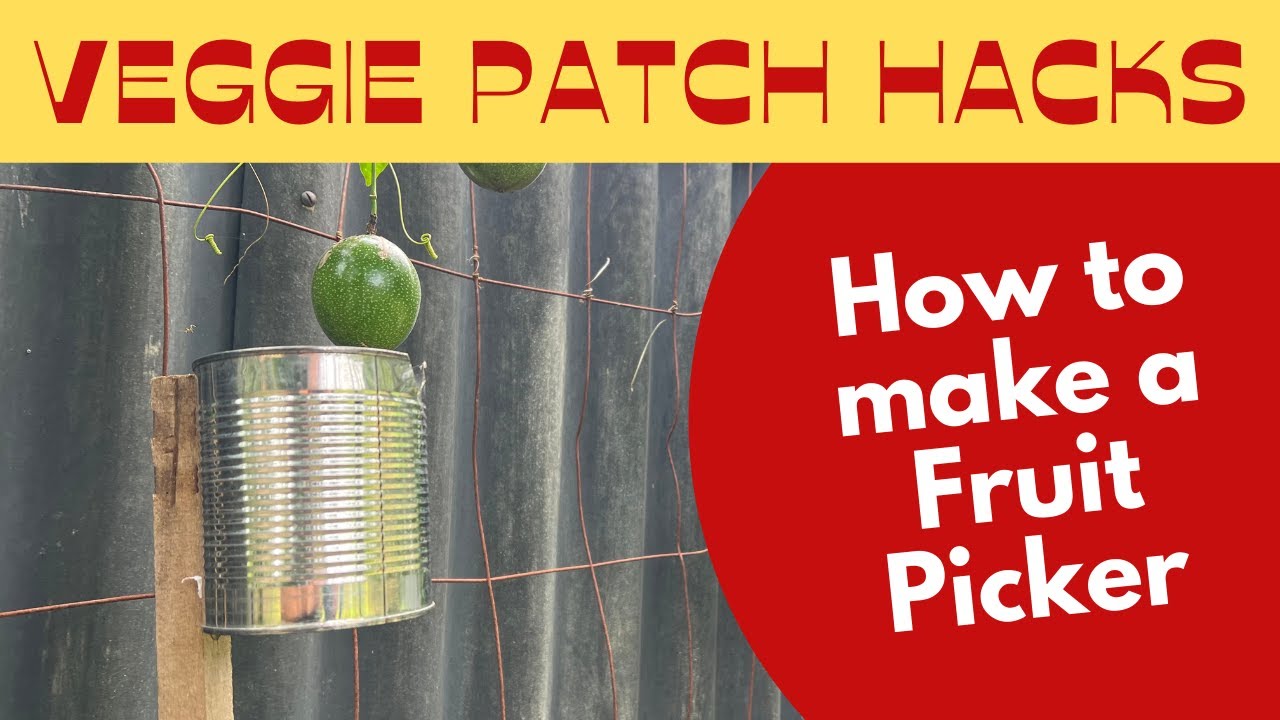 How to make a simple Fruit Picker
