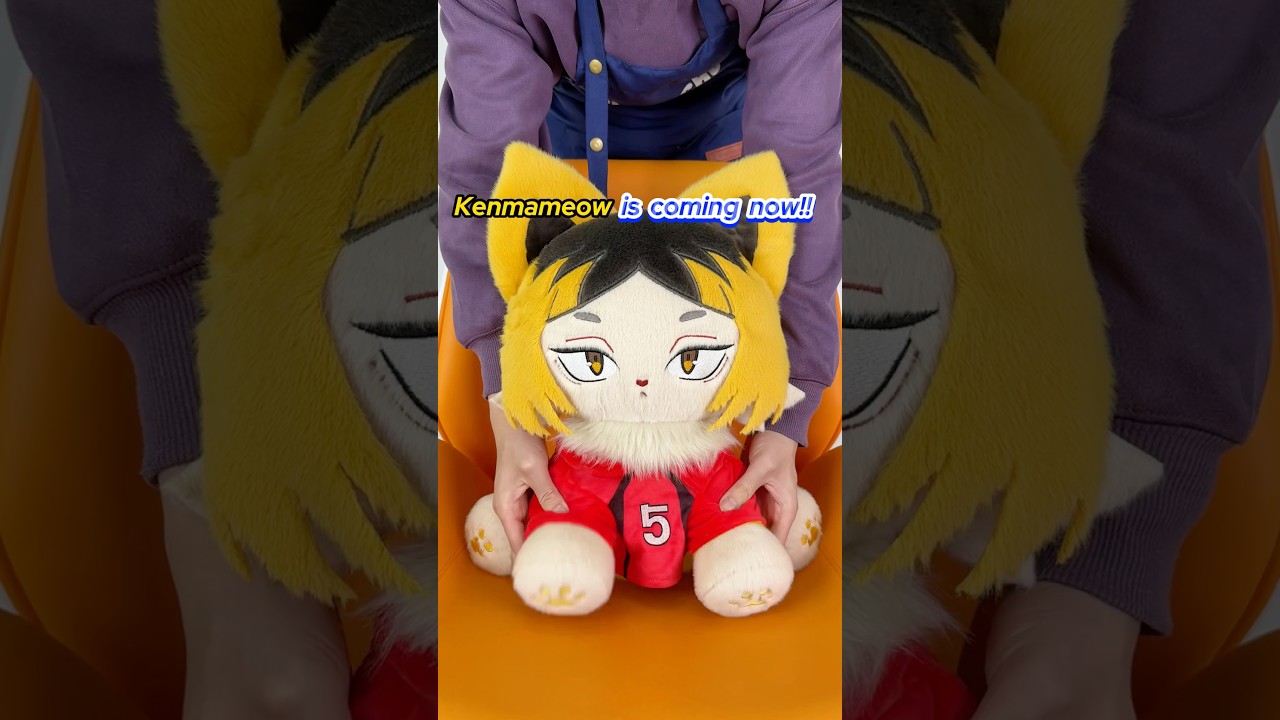 Kenmameow is coming now!! #kenma #kenmaplush #kenmakozume #kenmacosplay #kozumekenma #iwaizumi
