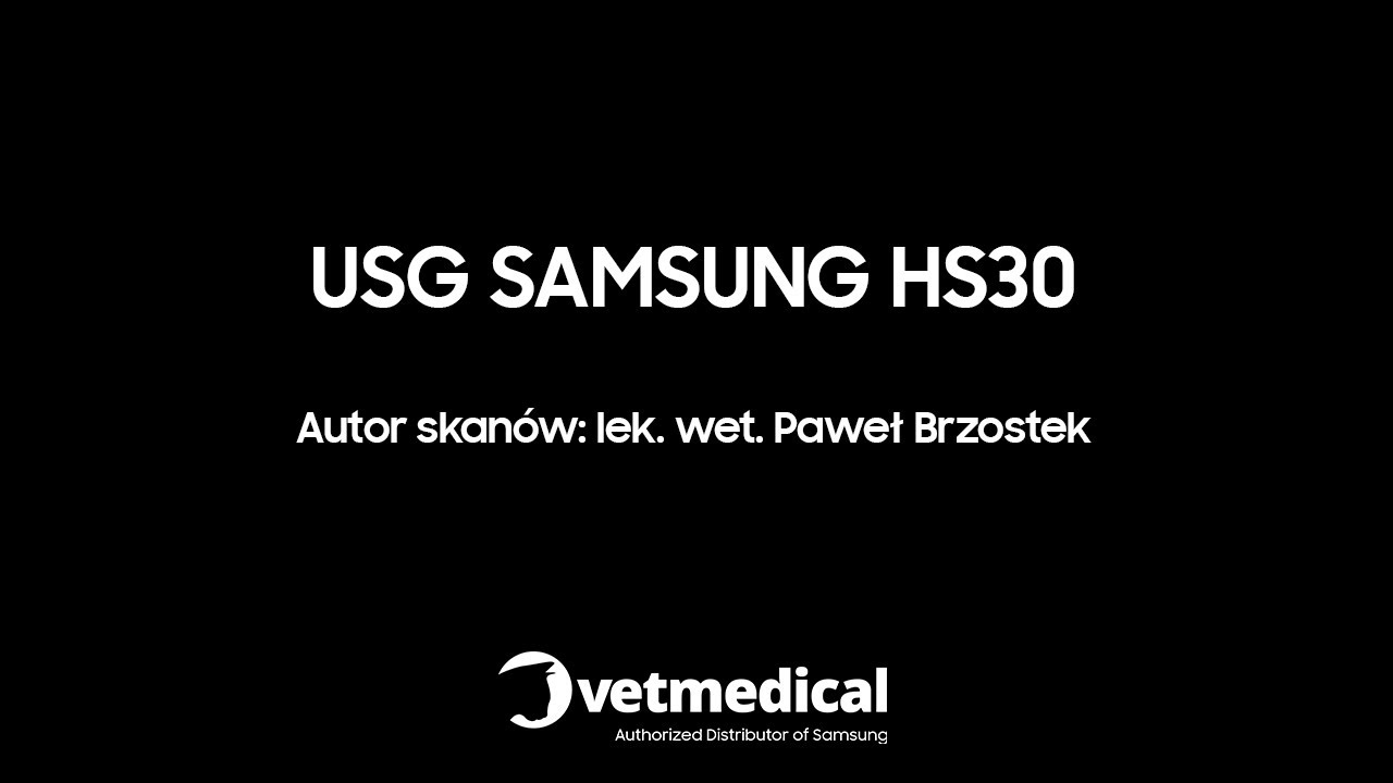 USG SAMSUNG HS30 w codziennej praktyce | Zbi&oacute;r obraz&oacute;w ultrasonograficznych