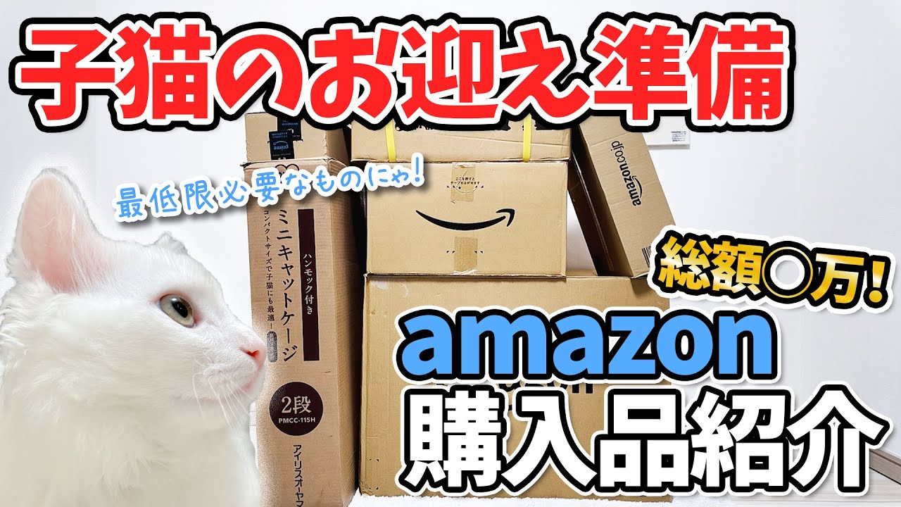 【必要なもの】子猫のお迎えする際に購入した猫用品