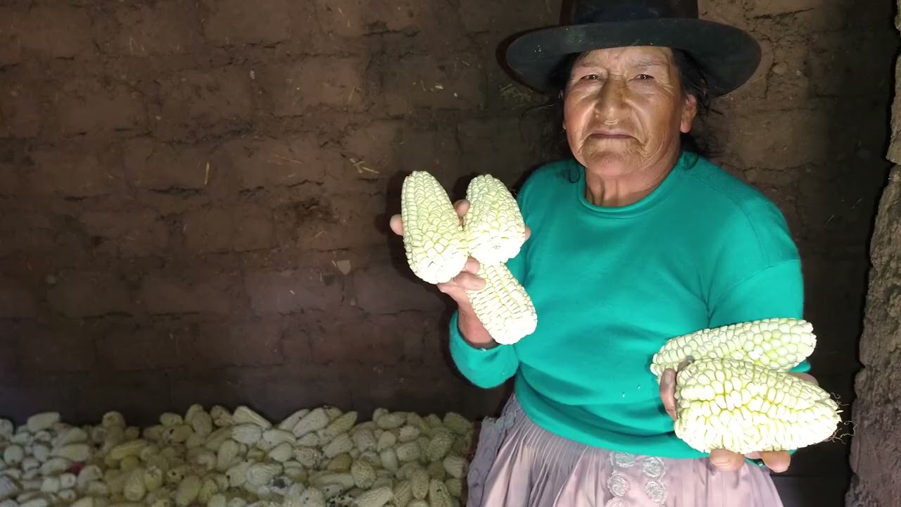 Reencuentro familiar en Pampa Cangallo, Sayhuapata y Urihuana. 🫂💚