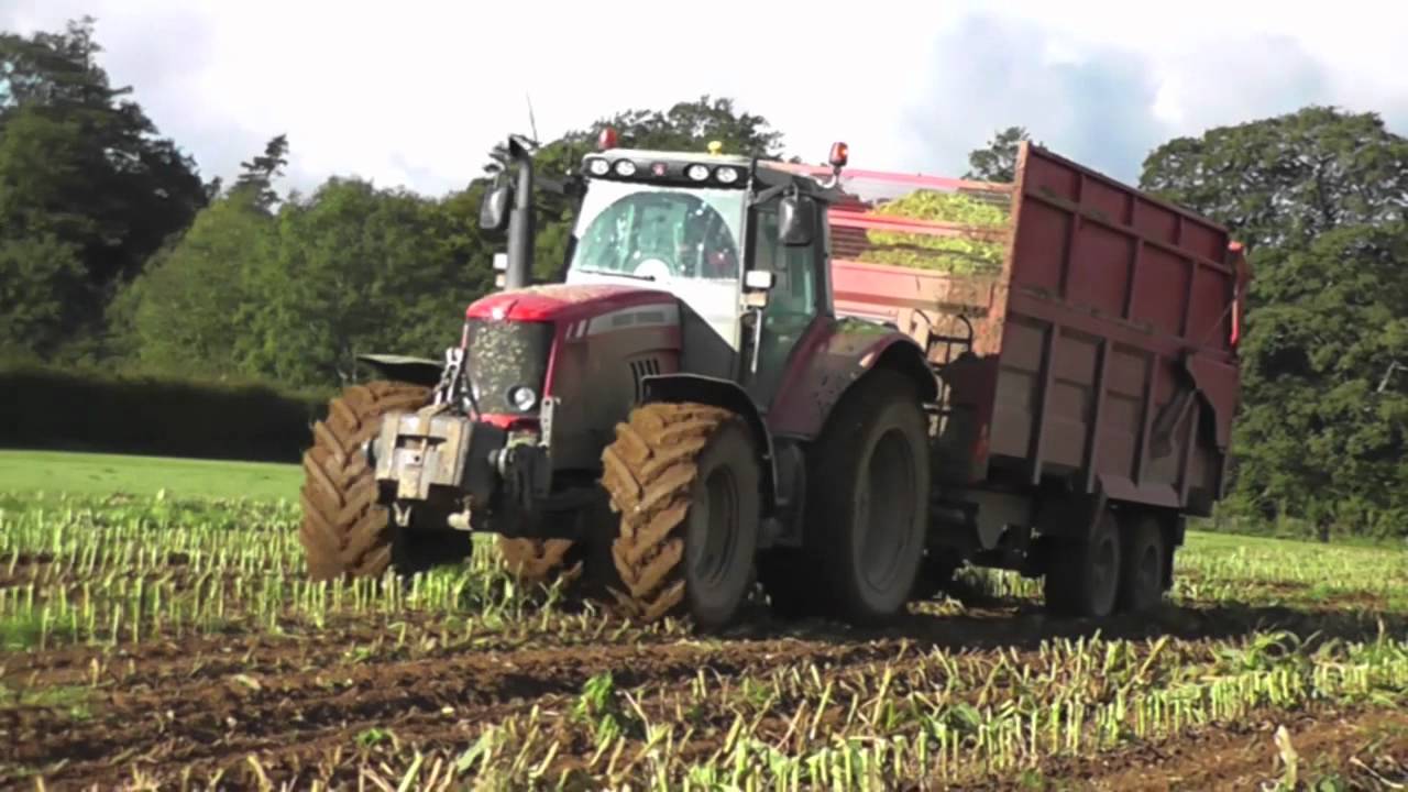 Cornish Farmers & Contractors Mark Andrews Ltd Maize 2012.mov