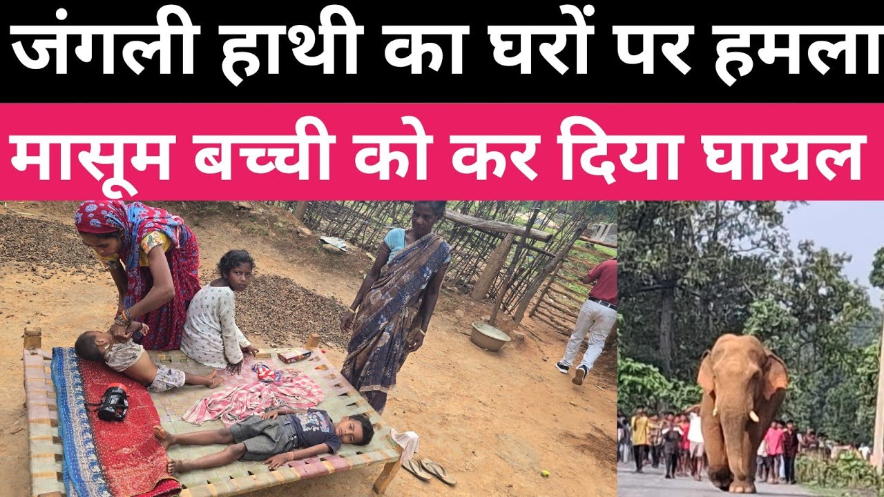हाथी ने किया हमला एक बच्ची हुई घायल । बानो