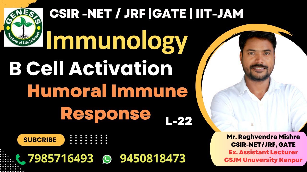 Activation of B Cells | Humoral Immune Response | Immunology#genesis_institute