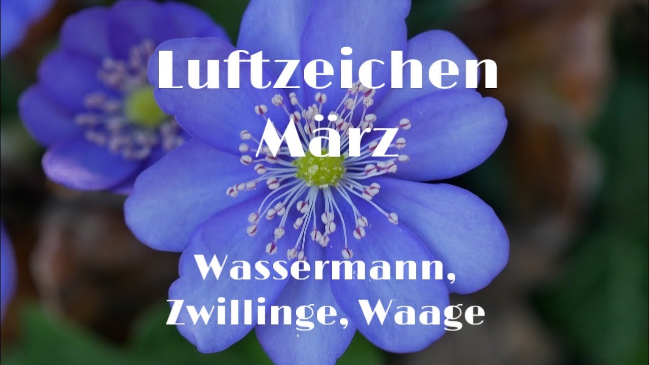 Luftzeichen März 💕 (Wassermann, Zwillinge, Waage) • Was kommt? Was geht!?