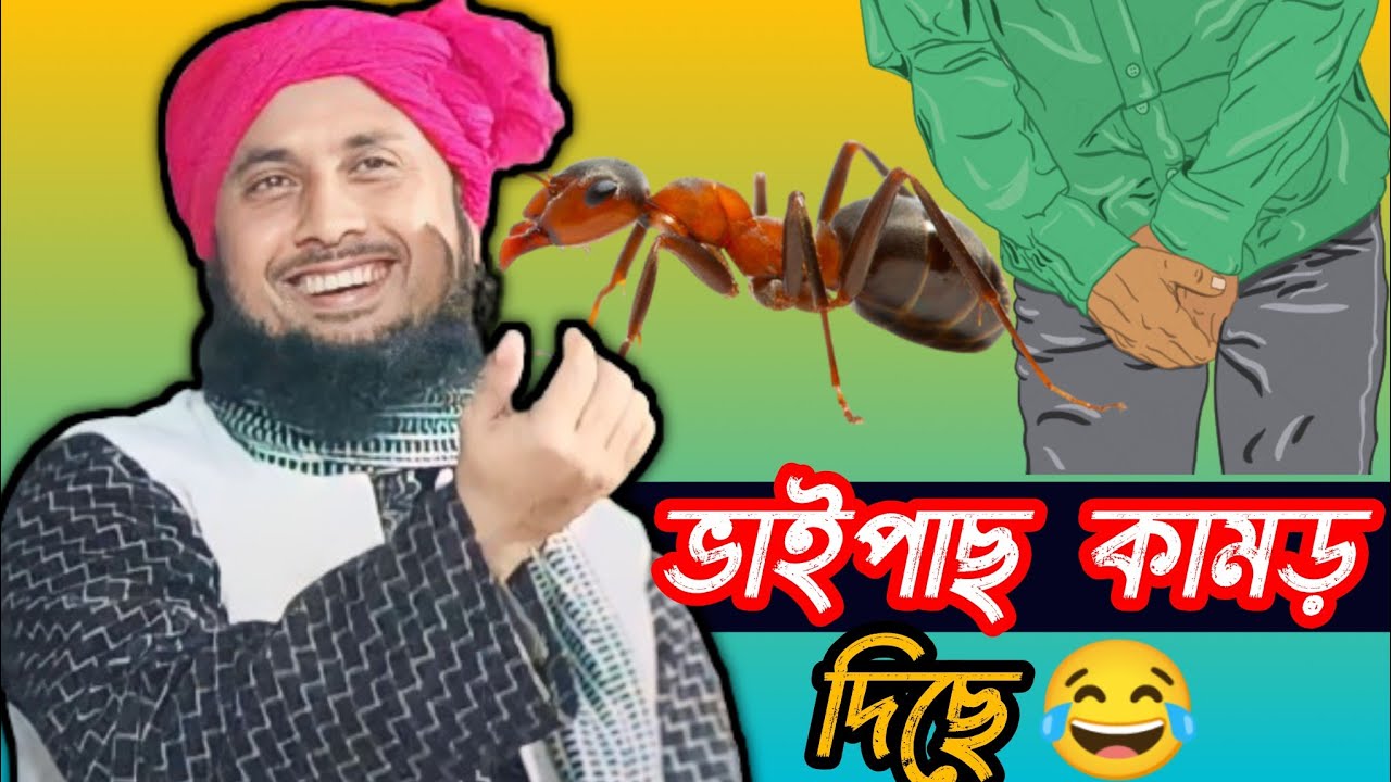 এক মিজু বেটা ডেলা ব্যবহার করতে গিয়ে ভাইপাস কামড় দিল। হাসতে হাসতে পেটে বেথা। Qari nazrul islam||