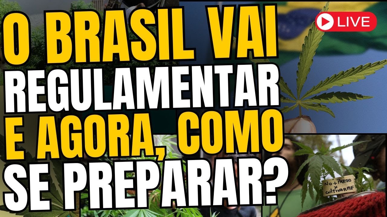 5 Passos para se Preparar para o Mercado Bilion&aacute;rio ($) da Planta