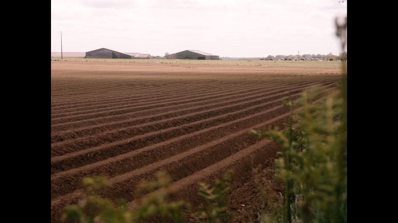 FOURCHES - Silence dans les champs