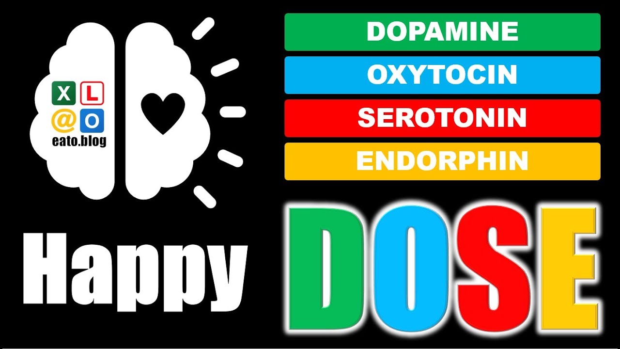 Как сделать свой мозг счастливым с помощью DOSE
