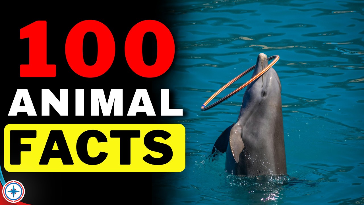 100 Animal Facts [ Part 02 ] You Won't Believe Are True!