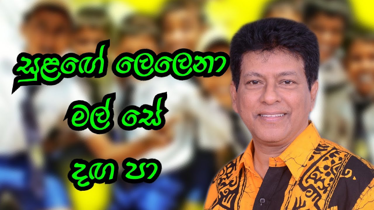 සුළගේ ලෙළෙනා මල් සේ දඟ පා| Sulage Lelena Mala Se Daga Pa| #sihinaya_soya #sinhalasongs