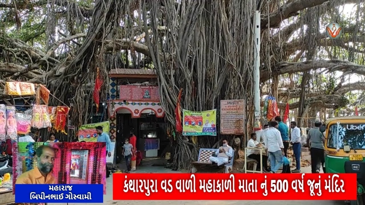 કંથારપુરા મહાકાળી વડ | Mahakali Vad Kantharpura | World Largest Banyan Tree
