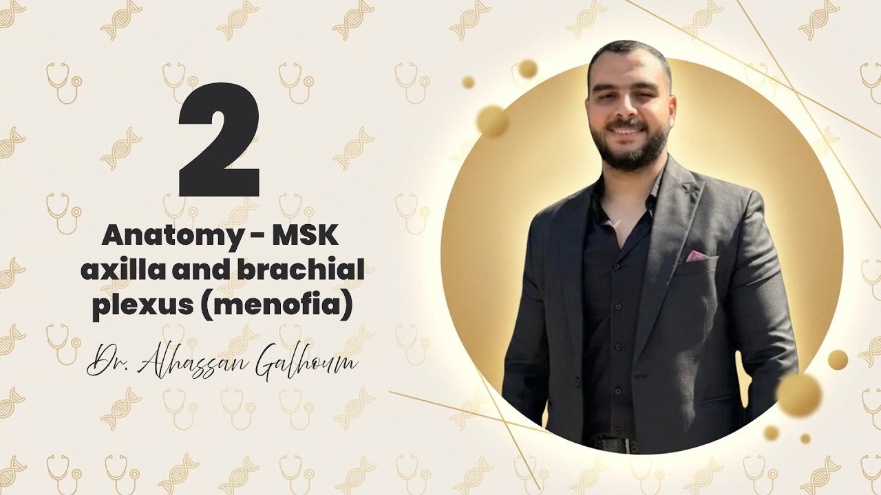 2-Anatomy - MSK - axilla and brachial plexus (menofia)