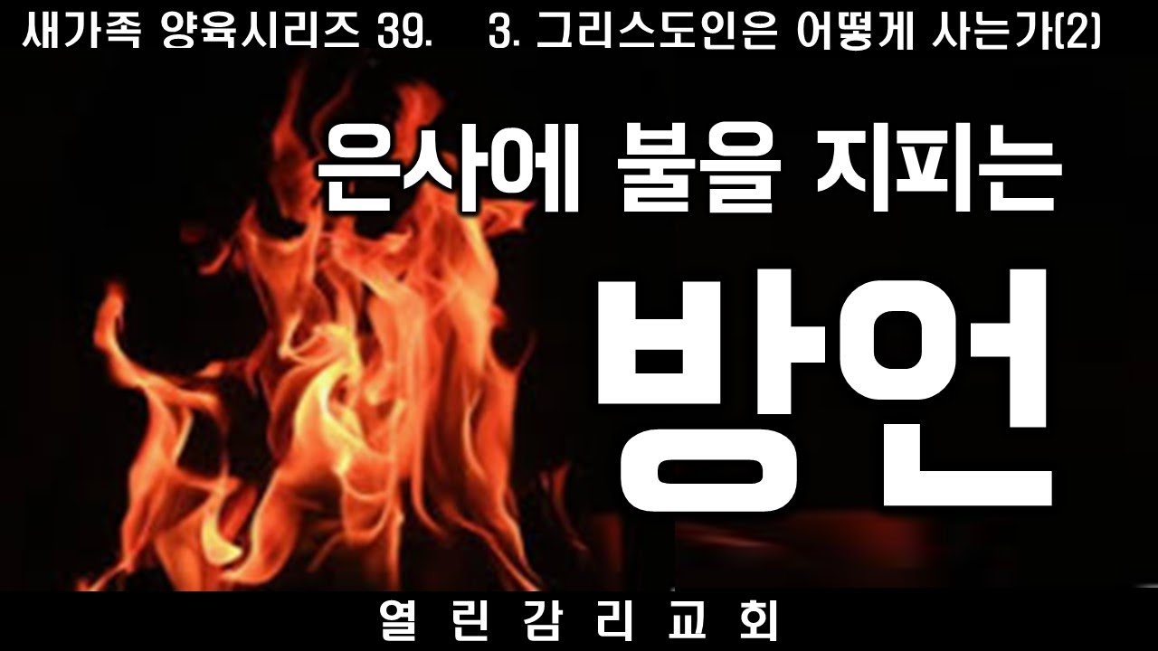 새가족양육 39 방언의 종류, 방언의 능력(유익) 은사에 불을 지피는 방언 (241203)