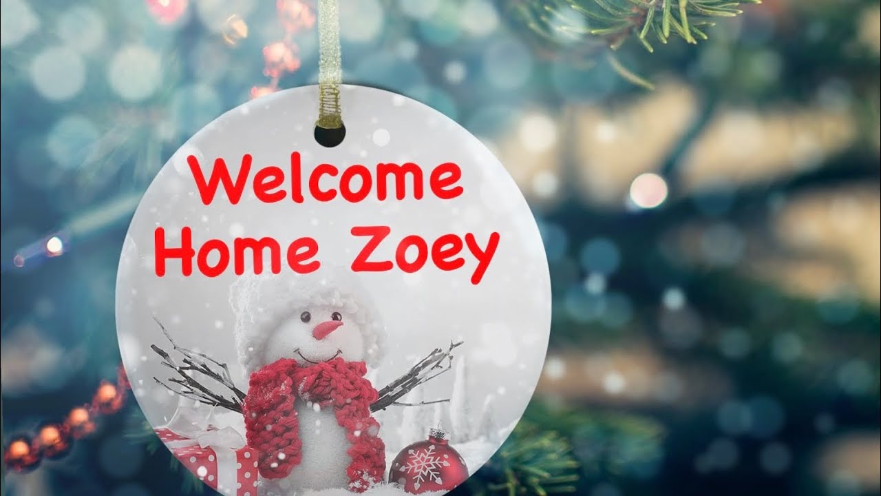Christmas reborn baby box opening 🎄 Welcome home Zoey 💕 #rebornbaby