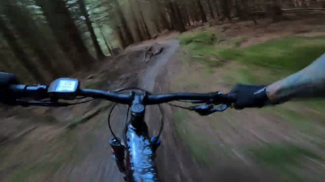North loop at Whinlatter forest on the Trek Rail 7 ebike...Holiday laps