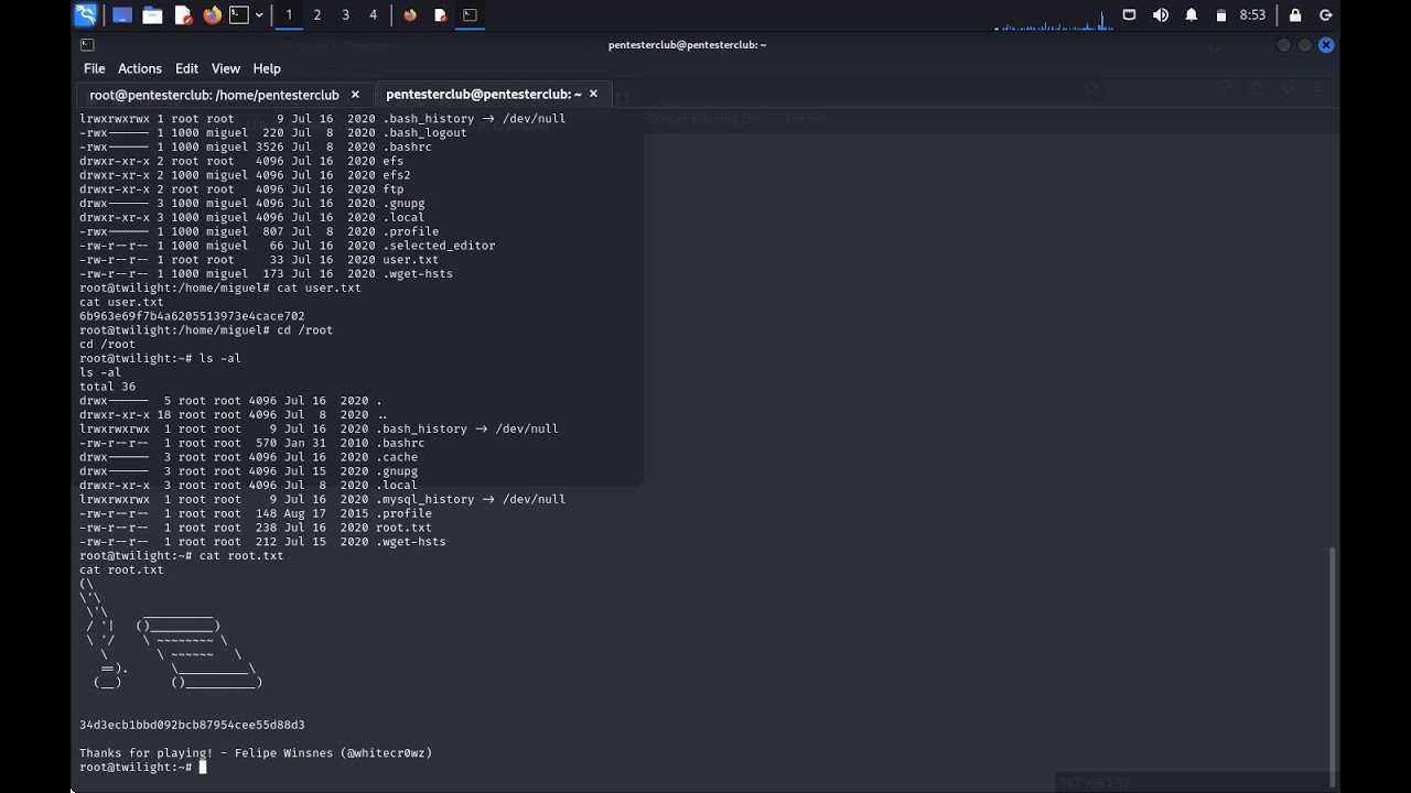 Arbitrary Image Vulnerability Penetration Testing Explained