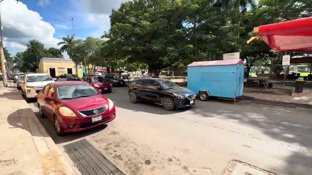 Typical Day In the Neighborhood 