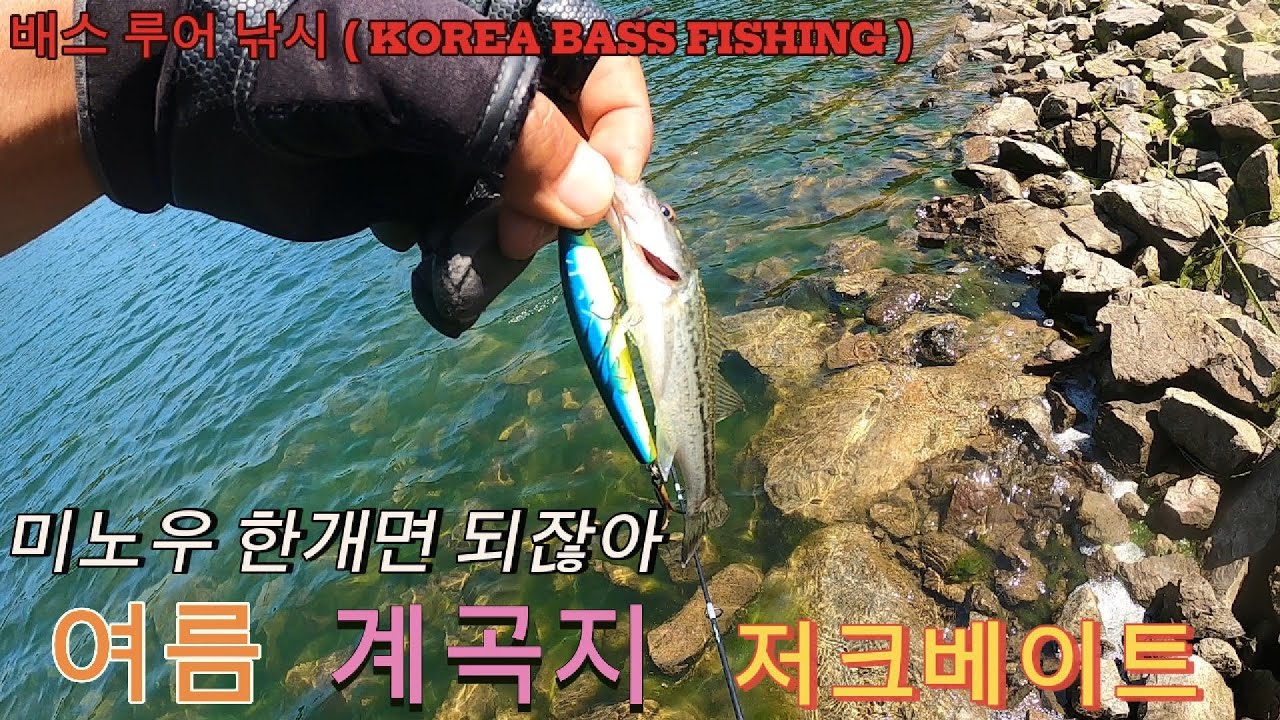 여름에는 계곡 저수지 저크베이트(미노우) 낚시 KOREA BASS FISHING