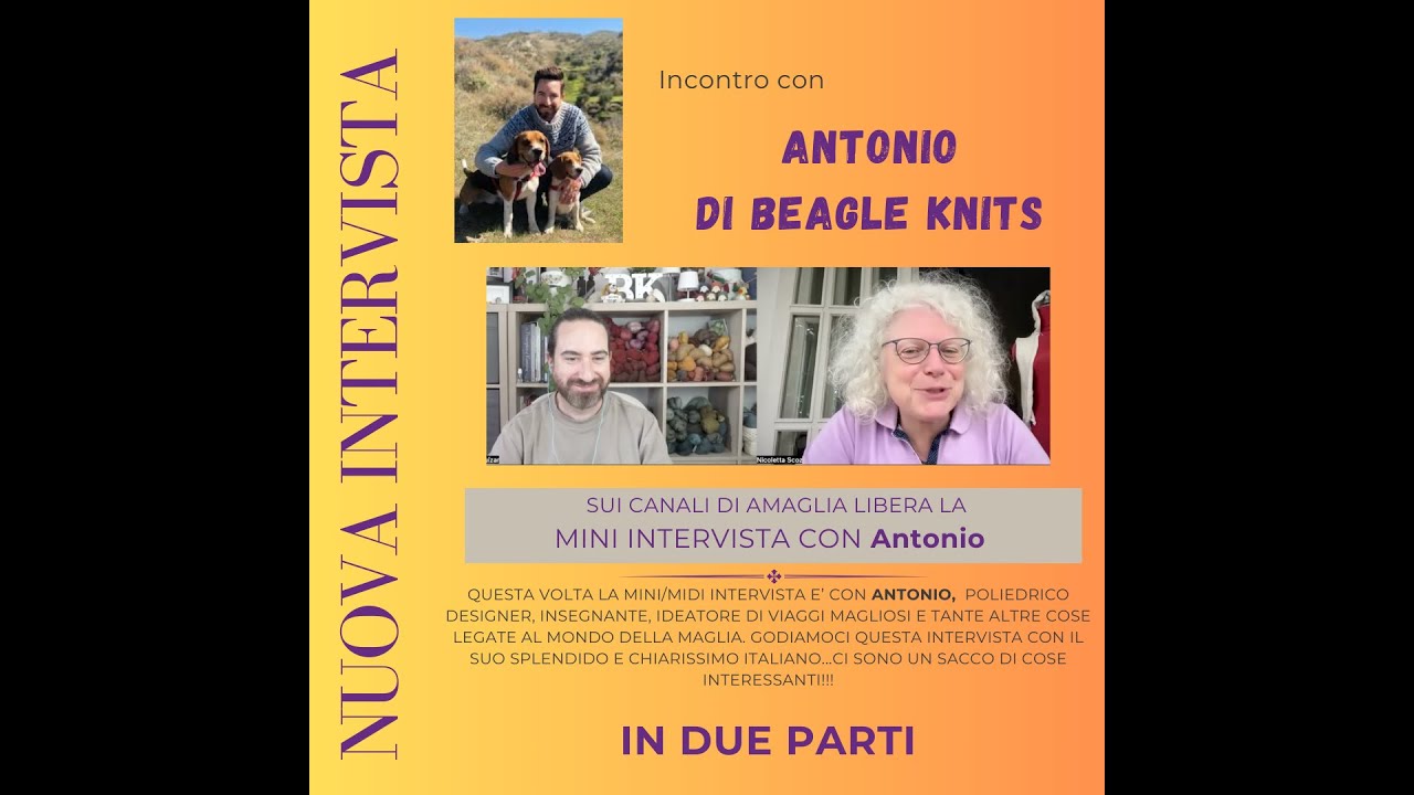 ANTONIO di Beagle Knits - 1 parte