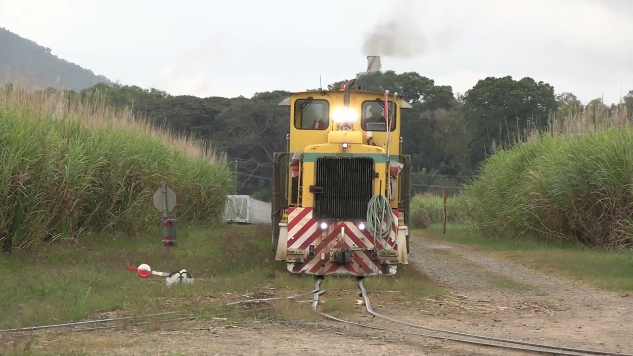 Queensland's Cane Trains - Macknade Mill Part 2